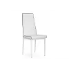 Стул на металлокаркасе DC2-001 white / black